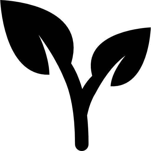Lower Primary